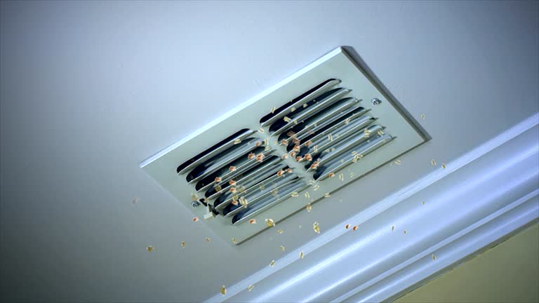 Best Home Air Vent Cleaning  in Montura, FL